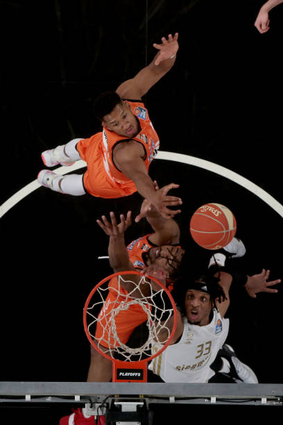 与雄鹿的直 与雄鹿的直