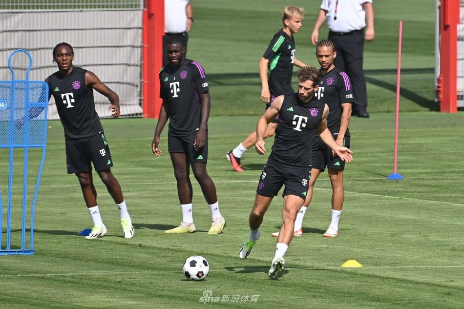 稳健发挥 稳健发挥